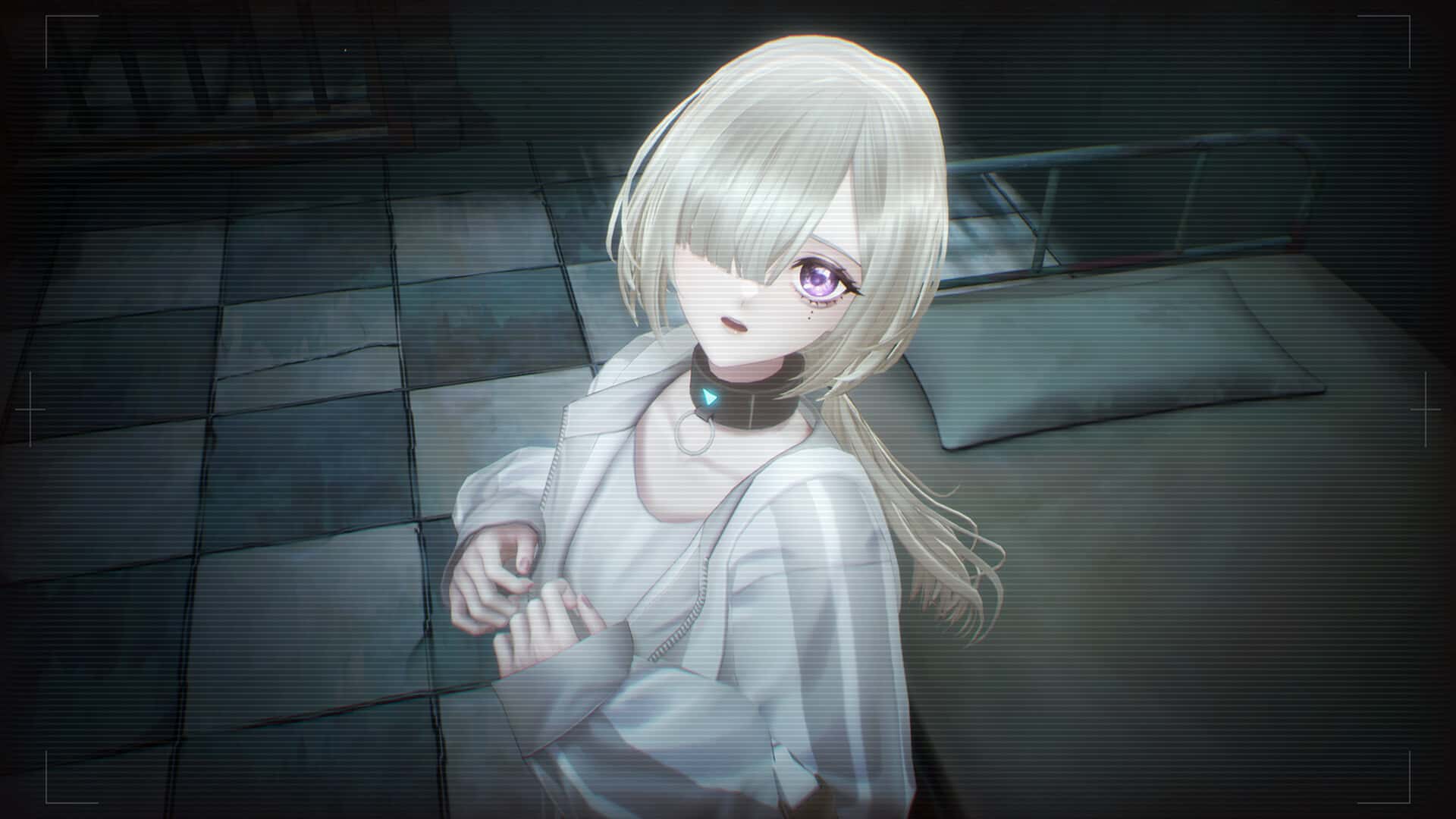视觉数据3
